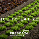 Fresca24 1
