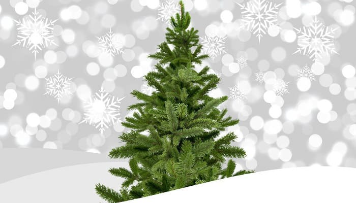 Casa: idee e tendenze per l’ albero di Natale 2017 per chi ha gusti minimal e per chi lo sceglie classic. E anche qualche nuova idea per tutti