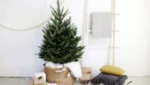 Casa: idee e tendenze per l’ albero di Natale 2017 per chi ha gusti minimal e per chi lo sceglie classic. E anche qualche nuova idea per tutti