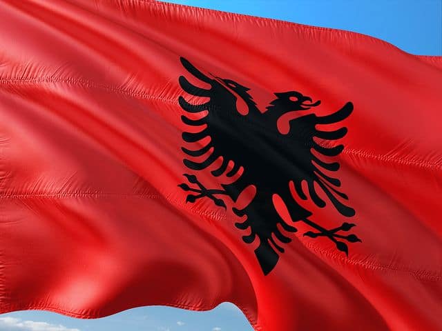 Tirana, capitale dell'Albania, è stata teatro di violenti scontri. All'origine la richiesta di un governo di transizione e libere elezioni.
