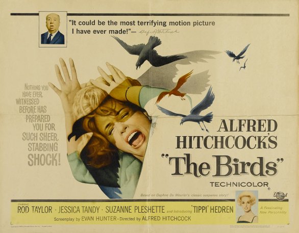 Gli Uccelli The Bird Usa 1963 Alfred Hitchcock Tippi Hedren poster 1