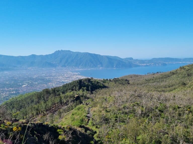 Ultratrail del Vesuvio, 46 Km di boschi e lapilli (video)