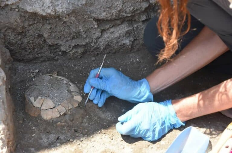 Pompei Scavi, ritrovata tartaruga e il suo uovo