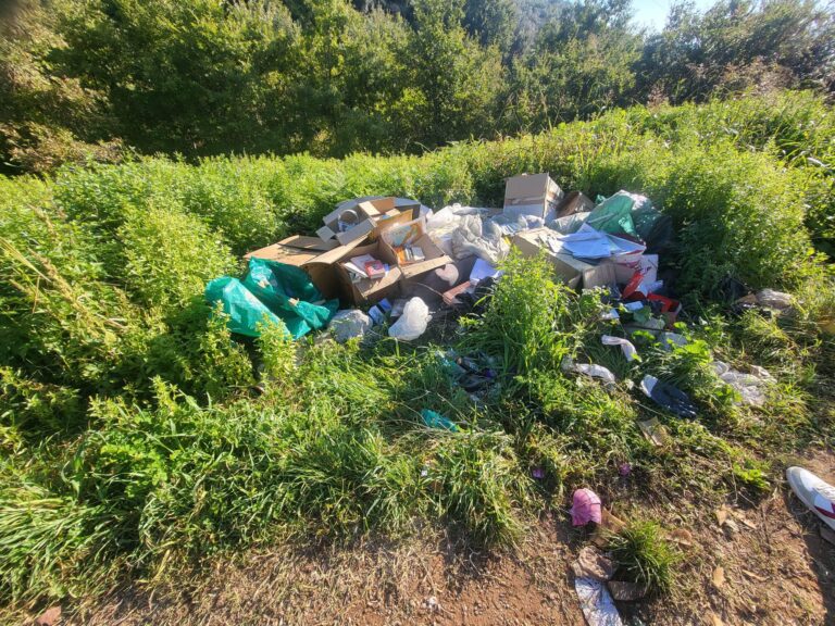 Eboli: Importante intervento della Polizia Municipale