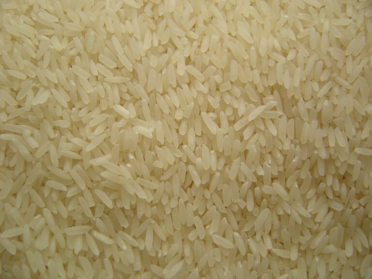 Il riso basmati: cos’è e in cosa si differenzia dal classico riso