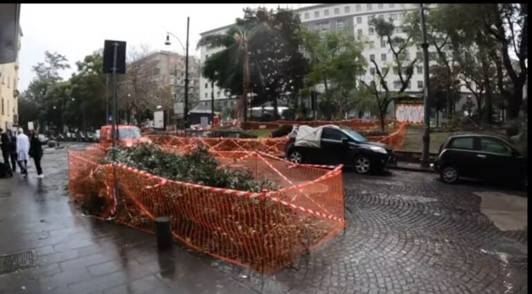 Napoli, alberi abbattuti dal vento in Piazza Cavour (video)