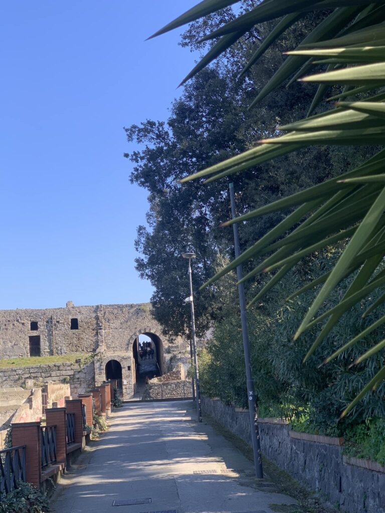 Pompei, il dono d’amore di Attica