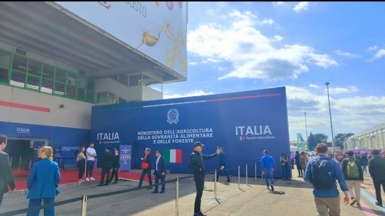 Al Vinitaly Giorgia Meloni annuncia la nascita del Liceo Made in Italy. Di cosa si tratta?