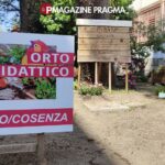 Orto Sinergico Bonito Cosenza Castellammare di Stabia PON Edugreen 7