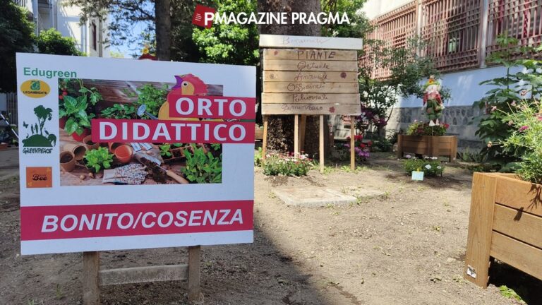 Bonito-Cosenza, un ortosinergico per la riqualificazione delle aree verdi della scuola