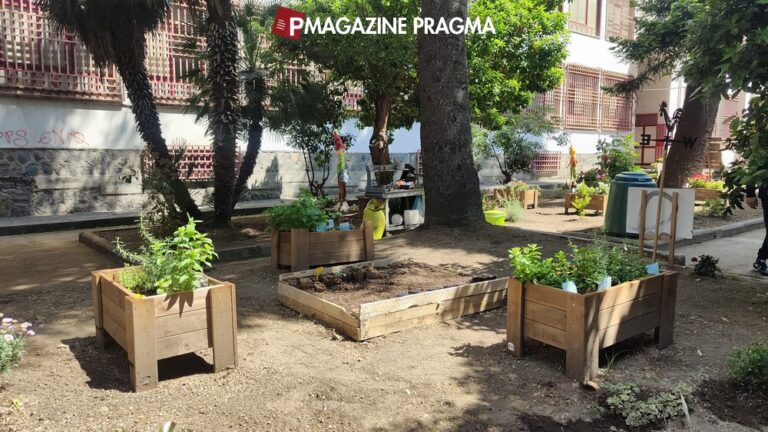 Bonito-Cosenza a Castellammare di Stabia, benvenuti nella scuola delle meraviglie