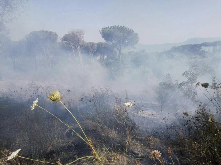 Terzigno, a fuoco un ettaro di area boschiva sul Vesuvio. De Luca: “Voglio sottolineare la gravità di questo incendio”