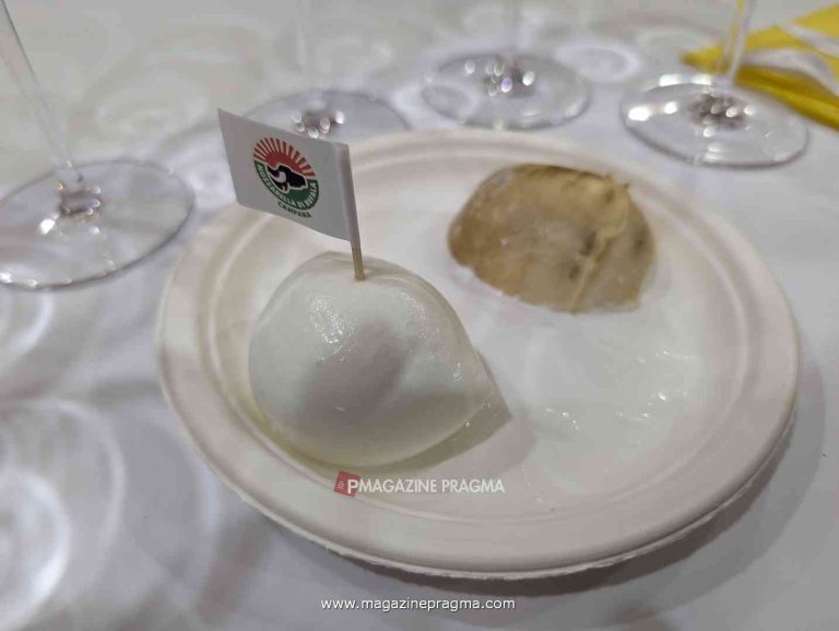 Vinitaly 2024, Campania: grandi autoctoni di piccole vigne in abbinamento con mozzarella di bufala