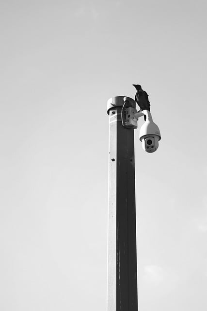 Vico equense: installate nuove videocamere di sorveglianza