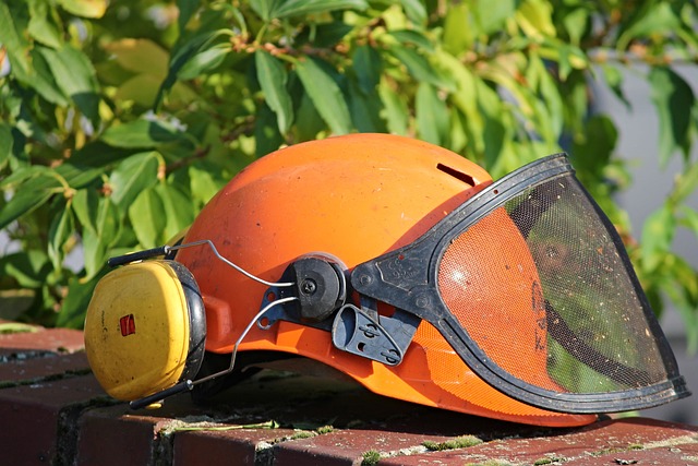 lavoro - casco protettivo - Scafati