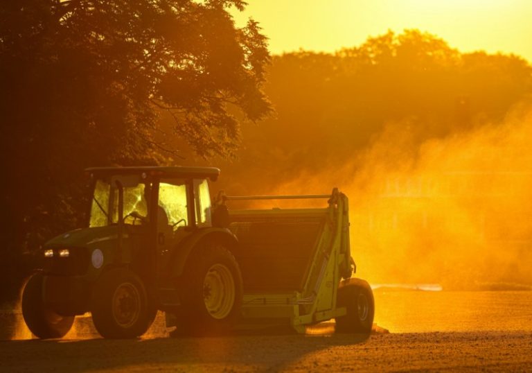 AI agricoltura 2024: intelligenza artificiale e innovazioni