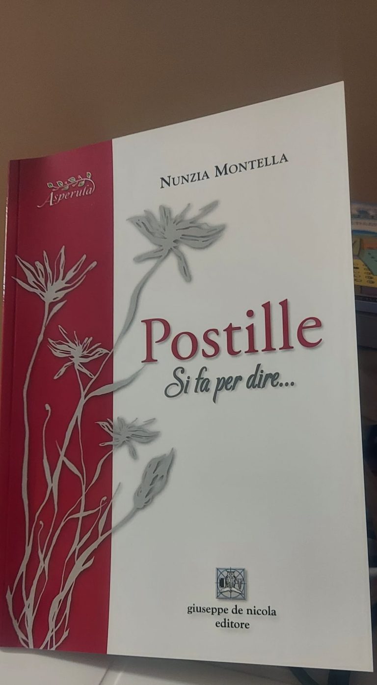 Postille si fa per dire di Nunzia Montella