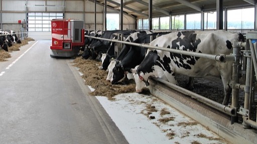 L’Open Day dei Caseifici Agricoli arriva anche in Campania, i dettagli