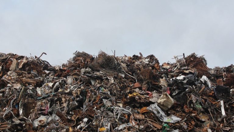 Bacoli, sequestrata discarica abusiva con oltre 15 tonnellate di rifiuti speciali