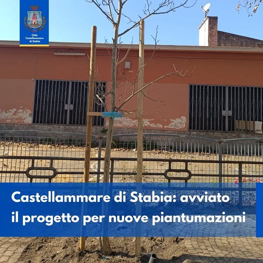 Castellammare di Stabia si tinge di verde: 39 nuovi alberi per una città più sostenibile