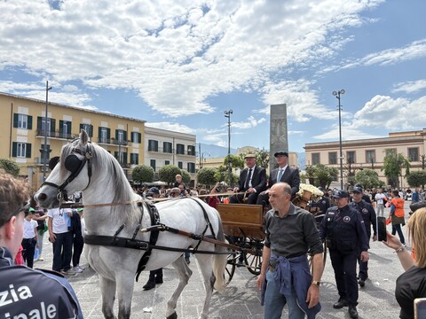 Pompei marcia dell pace