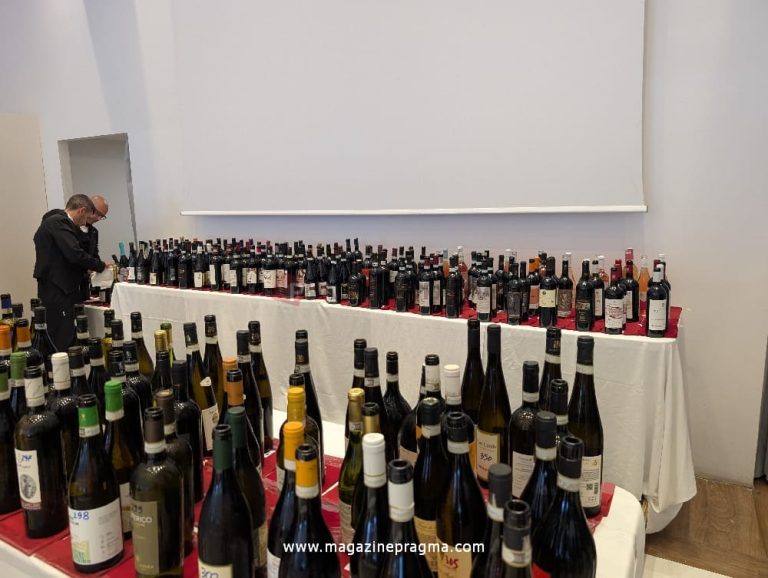 Campania Stories 2025: il racconto di una prima volta tra emozioni, vini e territori