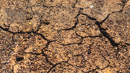 Campi Flegrei, 35 scosse e sollevamento del suolo: “Bradisismo in atto, serve vigilanza continua”