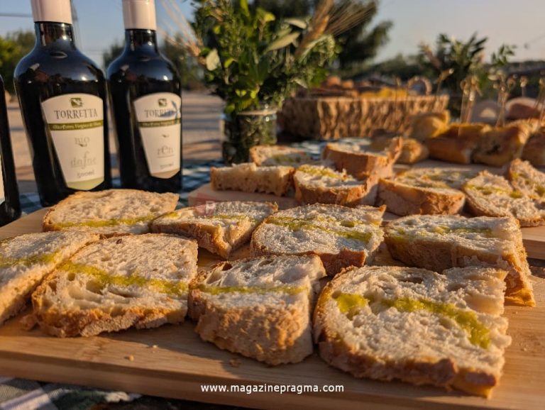 Tenuta degli Ulivi: magia d’inizio estate tra olivi, sapori e ospitalità contadina