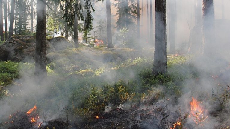 Vesuvio, interventi senza sosta e fronte del fuoco ancora attivo in tre aree