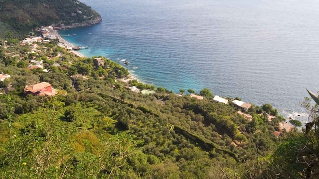 Massa Lubrense, sequestrati lidi e ristoranti: occupato illecitamente il demanio marittimo